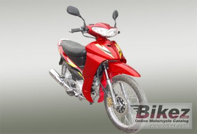 2007 Veli VL110-20 photo